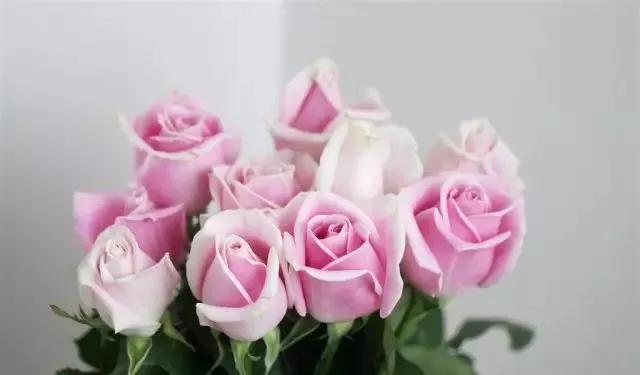 每天学习一点点女性小常识,每天学习一点点科普一下