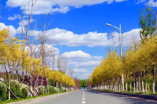 辽宁中医药大学杏林学院独立学院,辽宁中医药大学三个校区