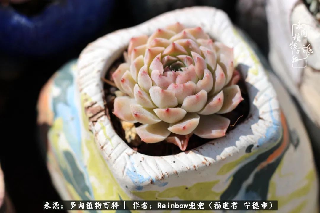 岁月无波澜余生不悲欢是啥意思,愿你岁月无波澜敬我余生无悲欢