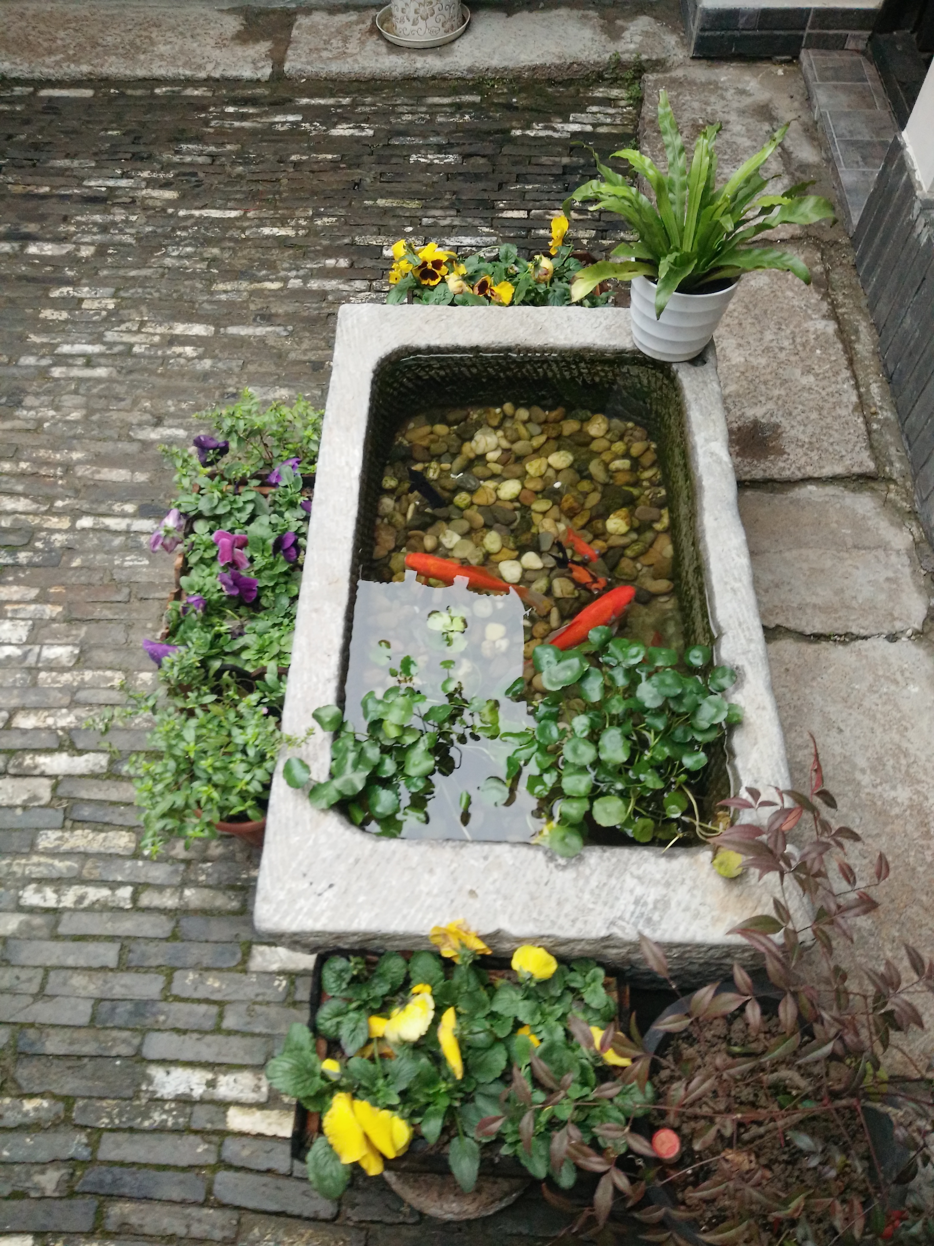 万里长江第一湾简介,万里长江第一湾是哪里