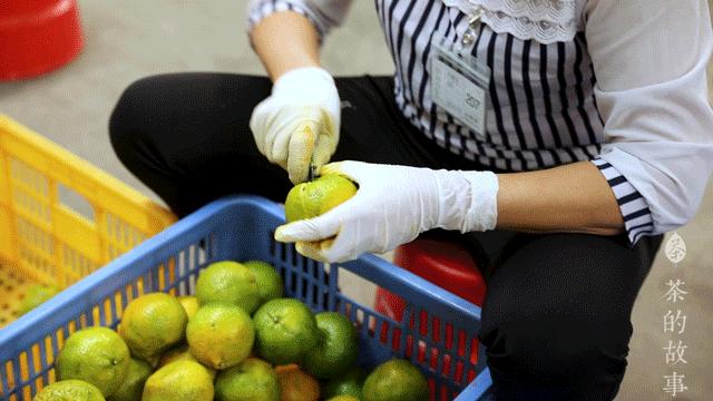 一两陈皮一两金指的是几年陈皮,一两陈皮一两金的出处