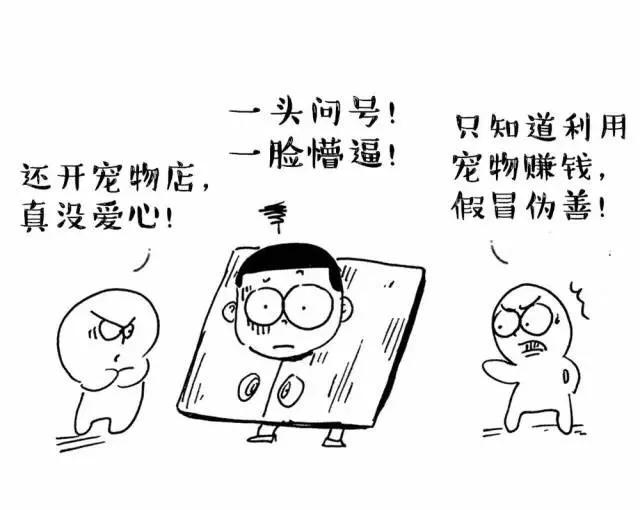 年轻人养宠物的困扰和问题,热爱养狗的是什么心态