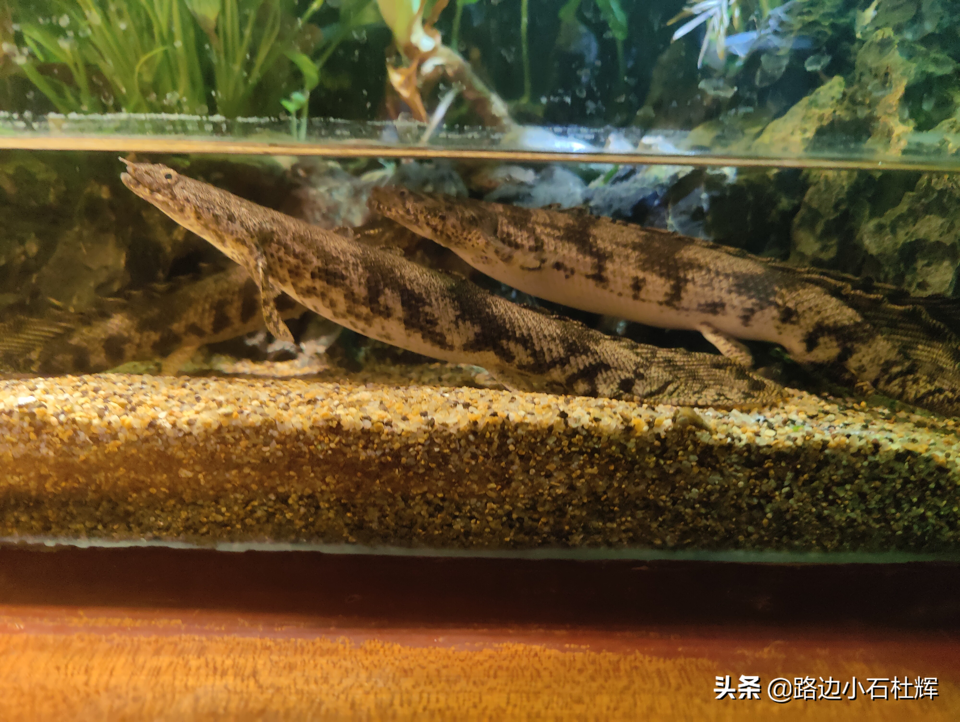 北京海洋馆海底世界游玩攻略,海洋馆北京海底世界游玩路线