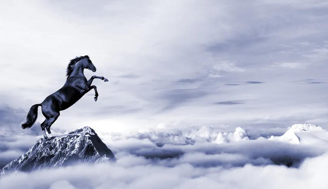 加盟月子中心投资风险大吗,月子中心投资前景如何