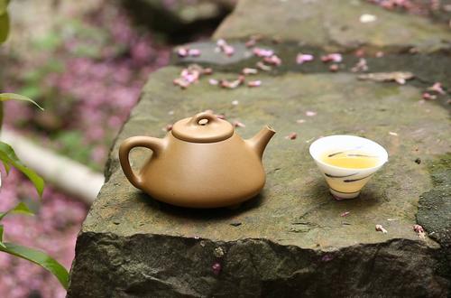 紫砂茶具茶文化,宜兴紫砂茶具哪款好