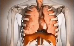 “内脏下垂、子宫脱落、漏尿”：扒一扒你不知道的网红束腰