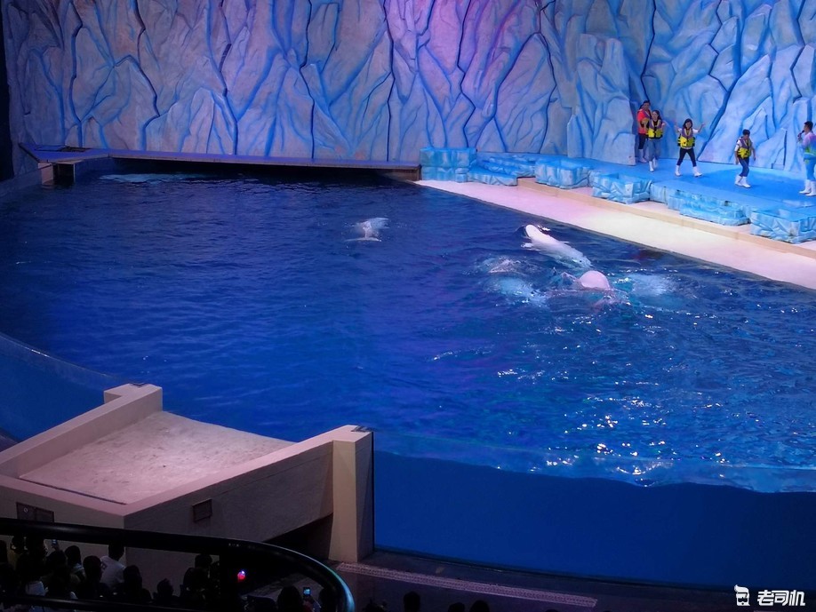 珠海长隆海洋王国亲子游攻略,珠海长隆海洋王国攻略亲子游