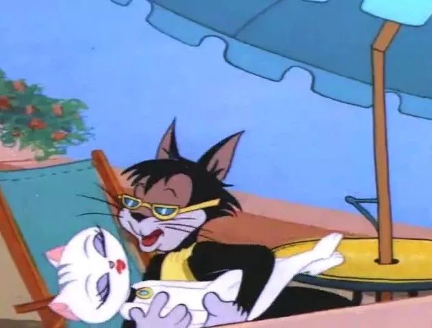 猫和老鼠以前的汤姆和以后的汤姆,猫和老鼠有多少人喜欢汤姆