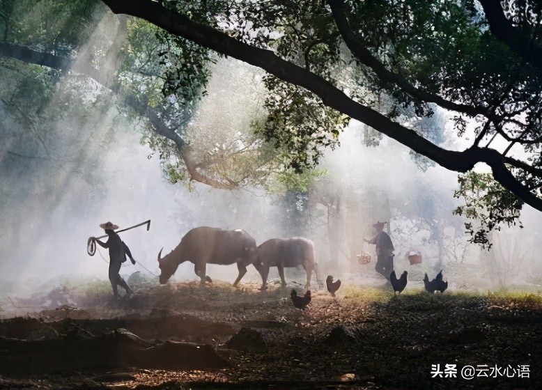 王安石诗词最佳十首五言绝句,王安石古诗最佳十首