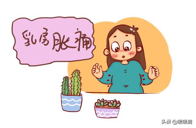 孕期乳房二次发育如何保养,孕期乳房怎么处理干净