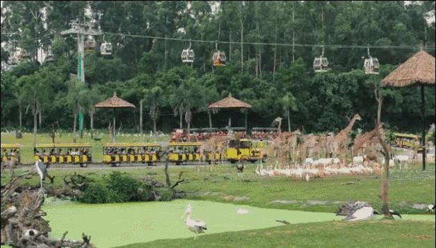 广州长隆儿童欢乐世界春节,广州长隆欢乐世界春游儿童玩什么