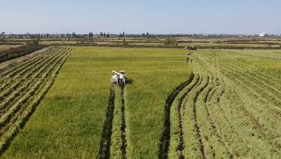 鄱湖之滨鱼米之乡,江西鄱阳湖