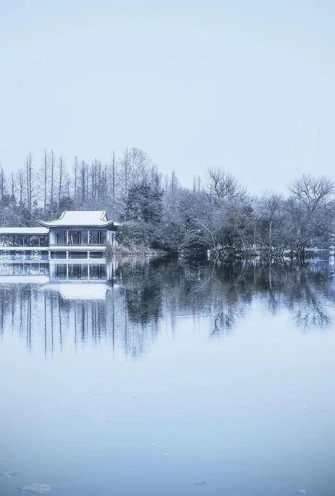 济南的初雪来了,对济南初雪的感受