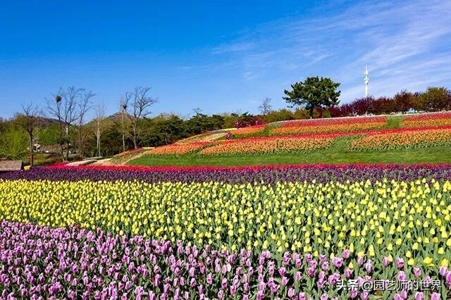 值得参观的国内优秀花园之品鉴（上篇）