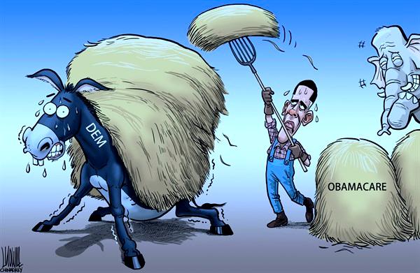 zookeeper和阿里巴巴,阿里托管zookeeper