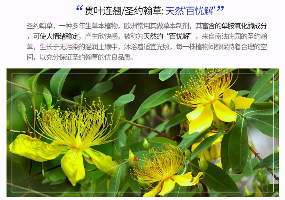 靶向药何时开始服用比较合适,靶向药和中药相克