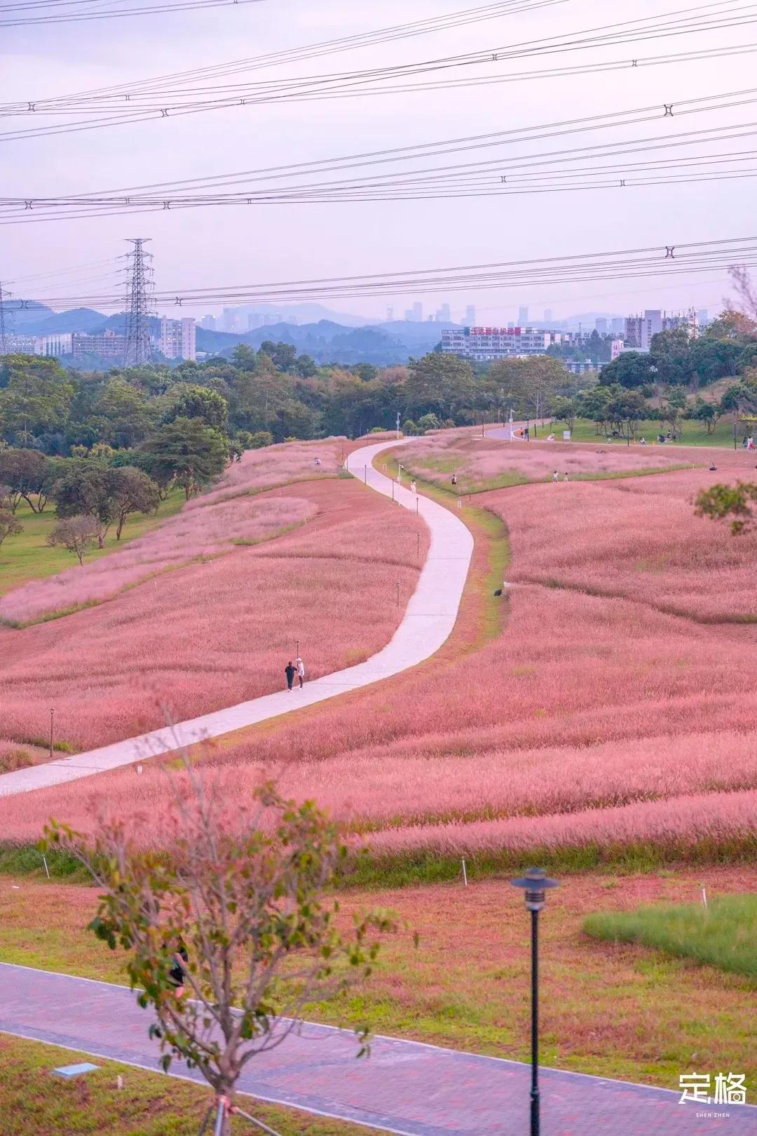 深圳周末打卡地点排行榜,深圳秋季打卡攻略