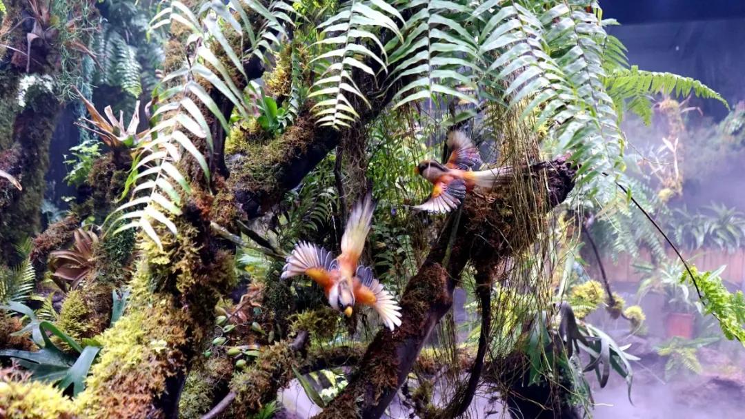 瞒不住了，孙悟空来聊城了，还带着“花果山”