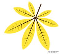 静谧之秋落叶有情汉中市北关小学树叶粘贴画展评