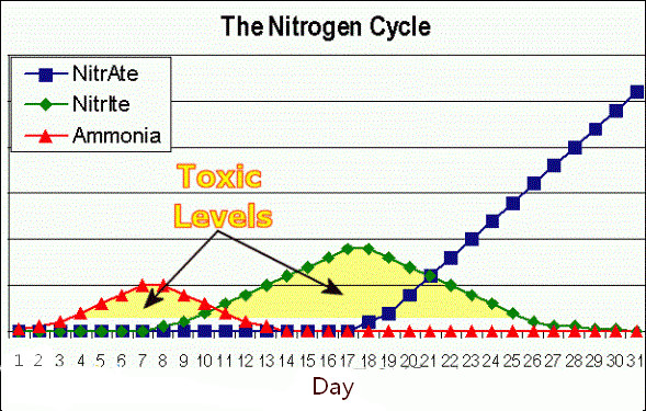 养鱼换水有利于培养硝化细菌吗,硝化细菌养水养鱼有什么好处