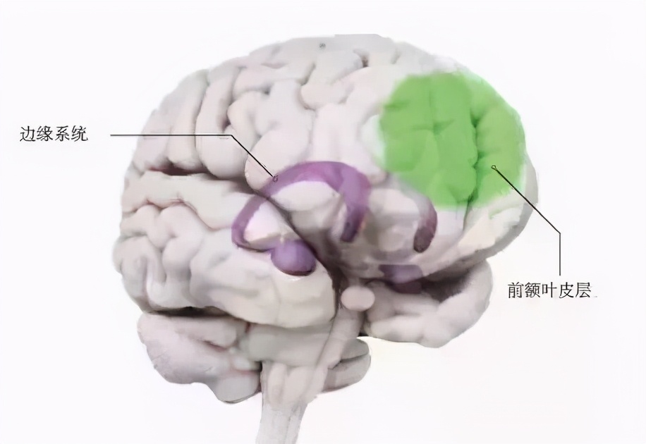 仙人跳小伙会功夫,仙人跳男生搞笑视频
