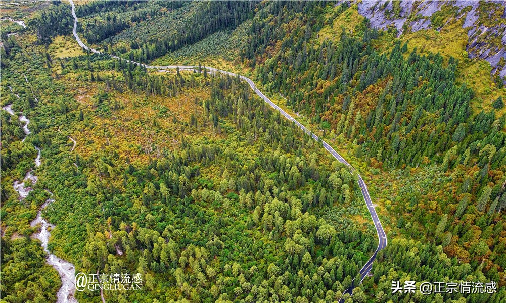 夜色成都串串爽,魅力小金苹果香#国庆中秋趣哪玩#