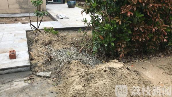 这个小区为何臭气熏天,透明的阳光房违建