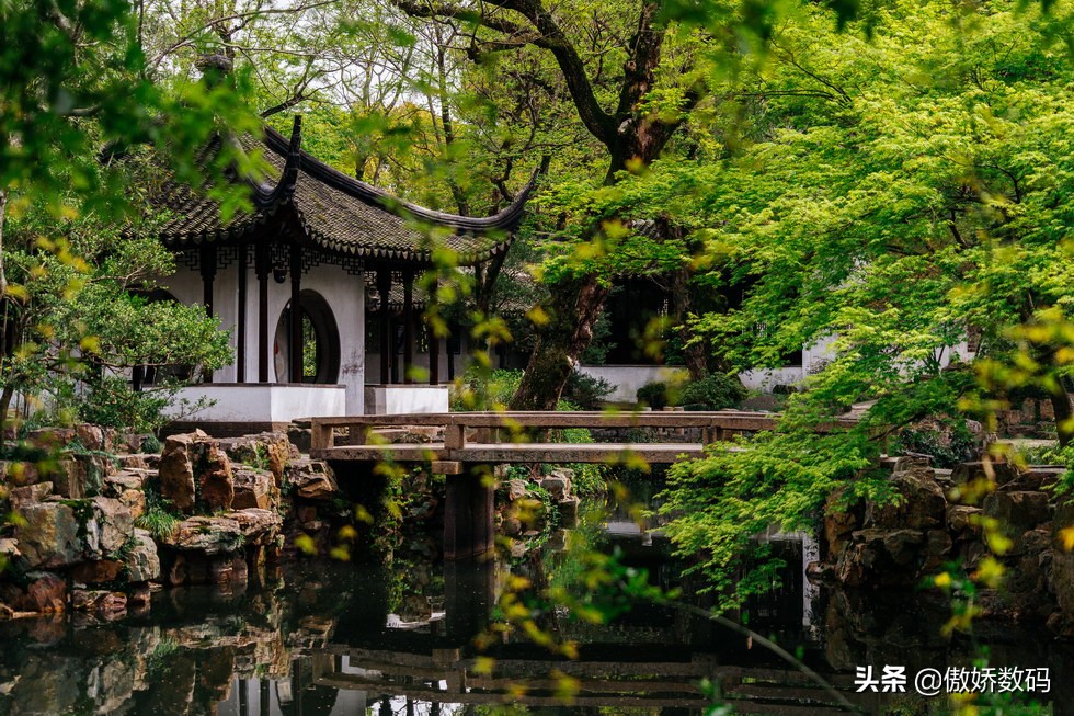 拙政园最让人欣赏的地方,拙政园十大特色