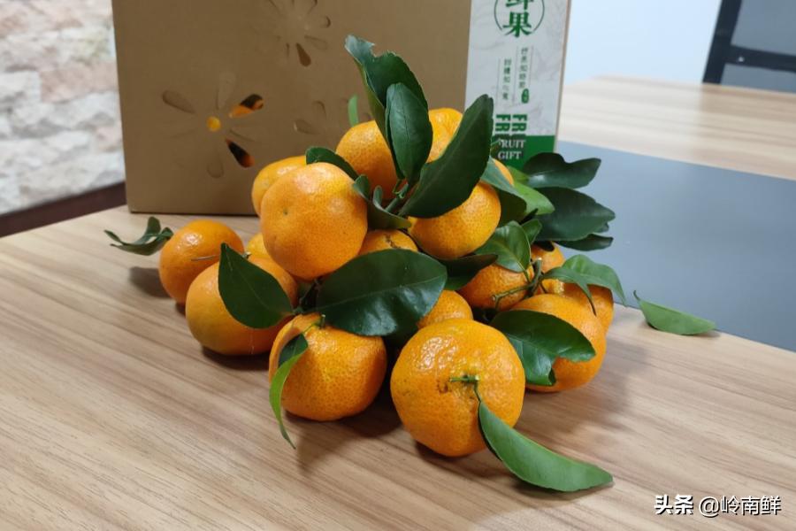 柑橘能吃出菠萝味？带你体验种植匠2020冬季柑橘橙测评