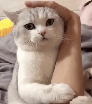 甭管啥就盘它,甭管什么东西盘它原版