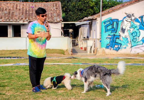 单身汪的逆袭,单身汪实力