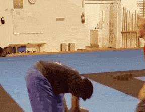 搞笑动图gif猫咪,搞笑动图gif狗