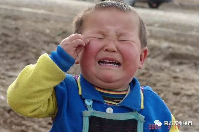 2023年苏州市平均工资,苏州平均工资2024最新公布