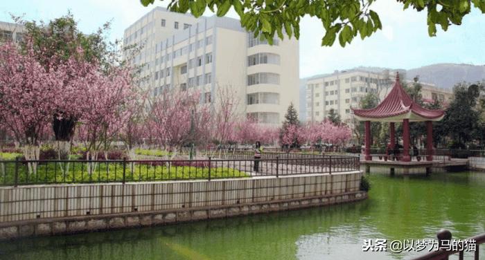 15所高职专科学校,15所公办专科