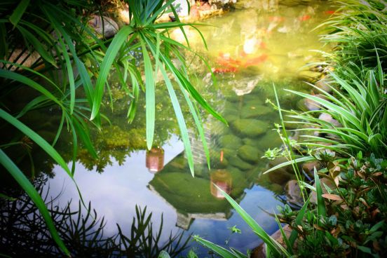 青岩古镇能看风景的民宿,花溪青岩古镇民宿