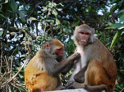 你印象中的印度,为什么说尼泊尔是神秘的国度