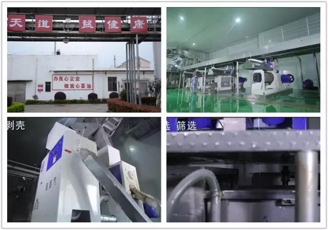 大三湘茶油销售模式,湖南大三湘茶油产业