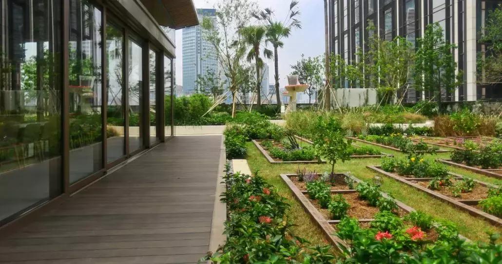 k11musea官网50周年庆,k11musea时尚活动