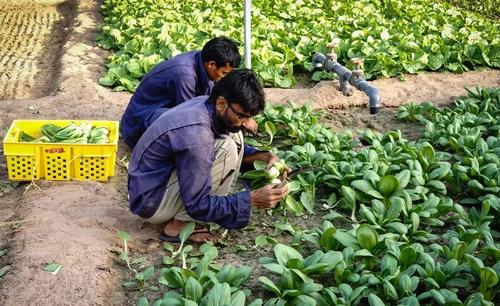 贫穷限制了我的想象力迪拜,三个你不知道的迪拜真相