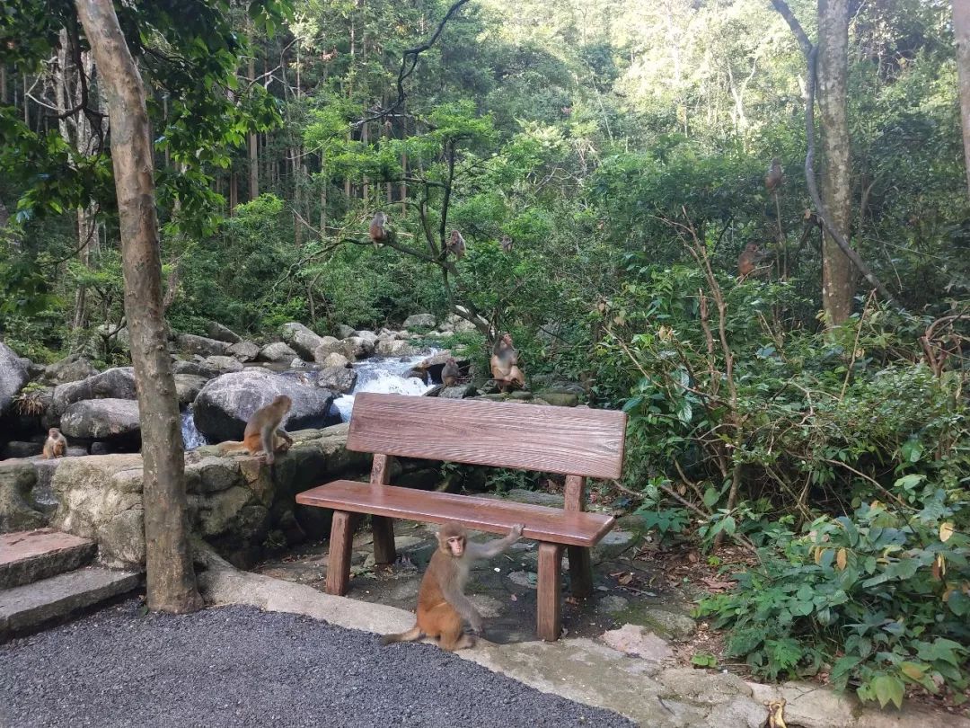 贺州姑婆南国仙山景区,贺州姑婆山景区旅游攻略