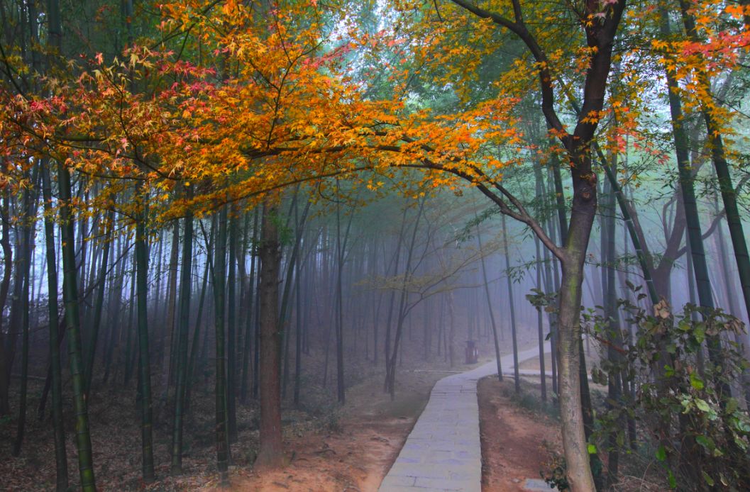 秋天的杭州自驾游,杭州秋冬自驾