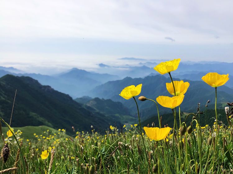 小五台山景区游玩攻略,小五台山快乐一日游