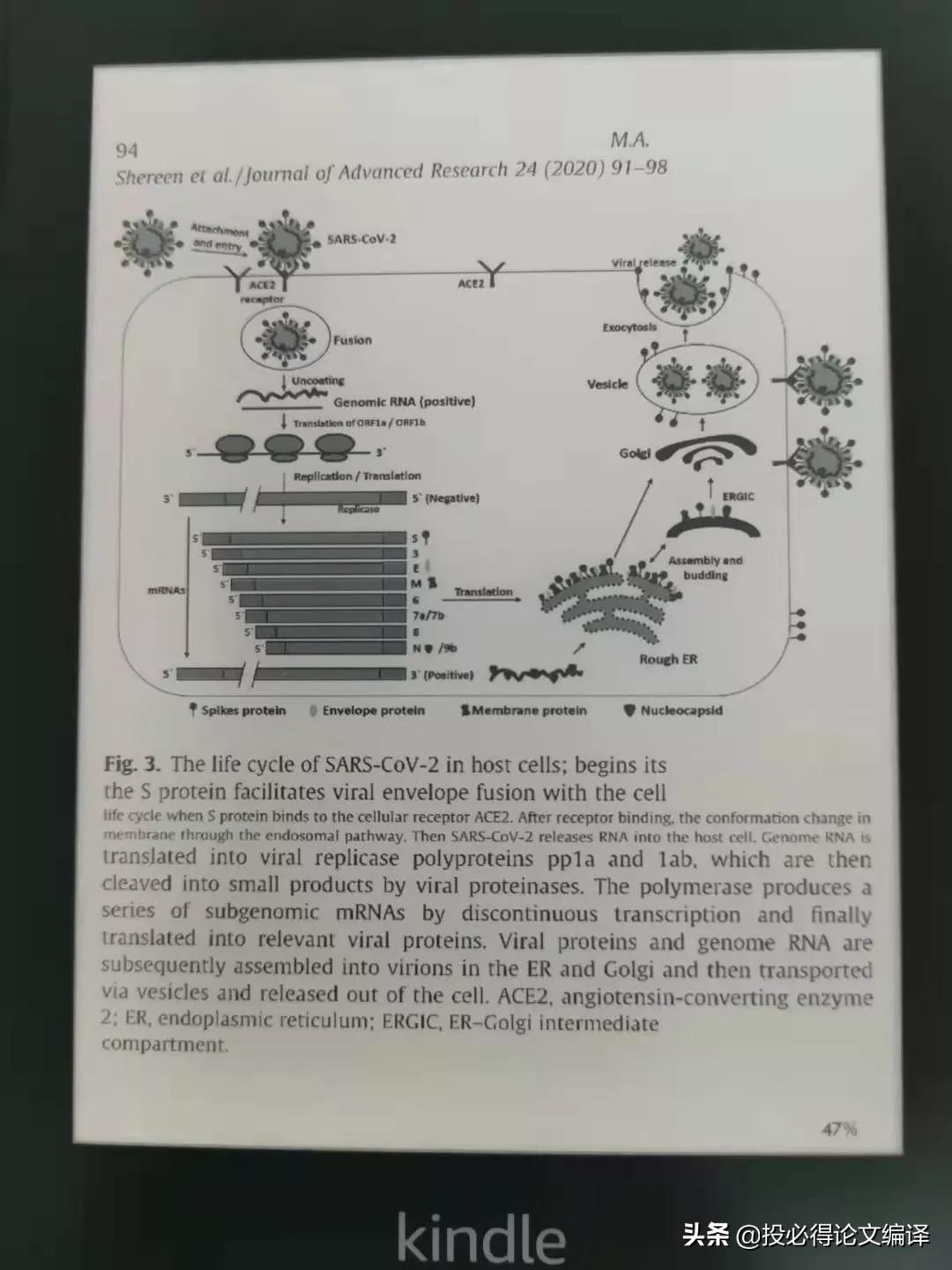 用kindle设备看SCI论文、专业书和工具书体验报告