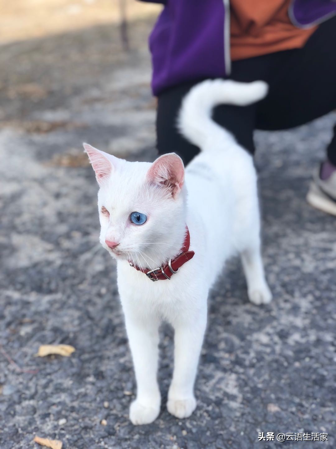 远走土耳其,我在星月之国上天入海(三)