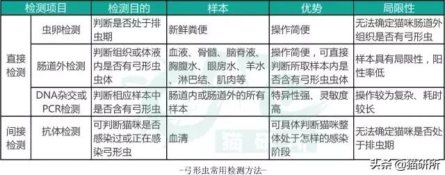 什么叫弓形体感染,简述弓形虫感染普遍的原因