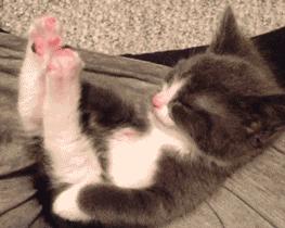 脚踝损伤后如何防止摔倒,常见脚踝损伤的预防与处理