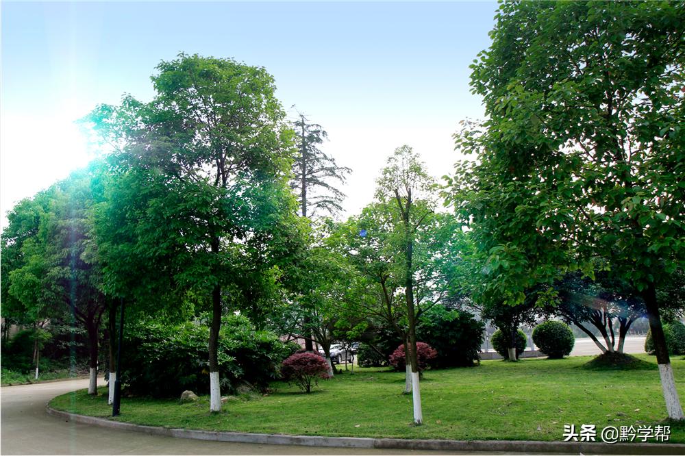 捐助达500万！贵阳这所学校招收免费就读学生网友：太有爱