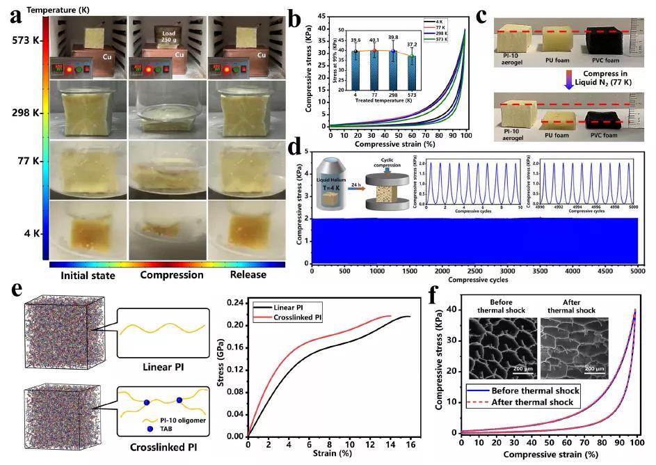 复旦大学研制的凝胶,复旦大学高分子研究团队