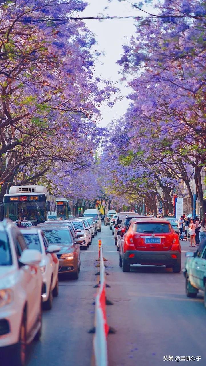 被大理的美景所折服,被丽江的风景美到了