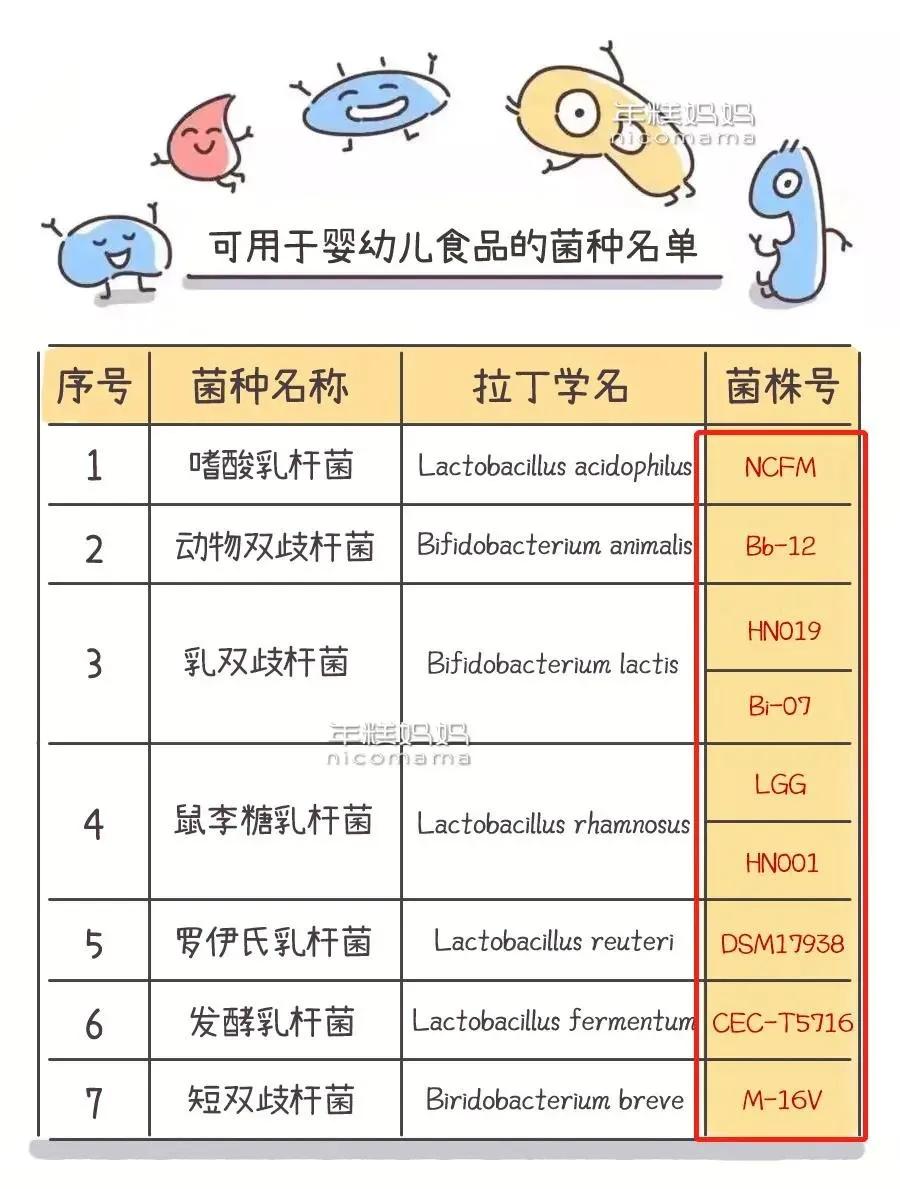 益生菌和益生元及乳酸菌有区别吗,乳酸菌益生元锌